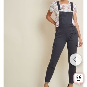 Offbeat Beauty Skinny Overalls